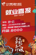 北大青鸟